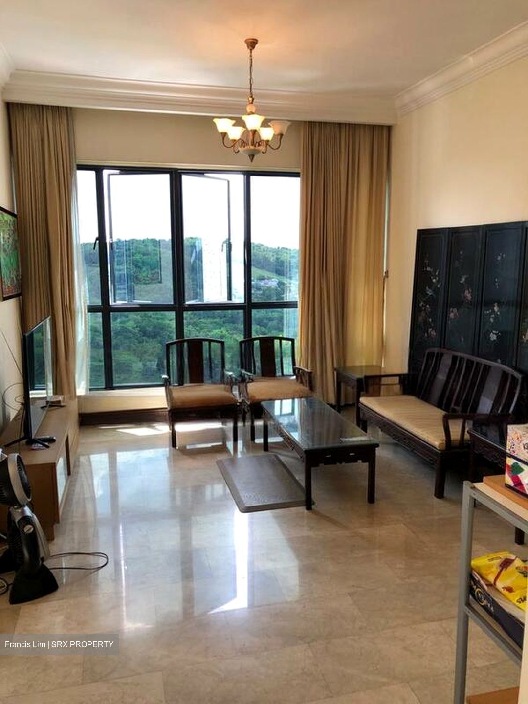 Regent Heights (D23), Condominium #607372991